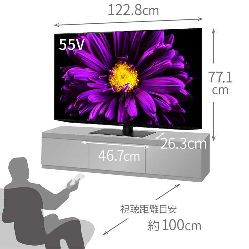 シャープ　SHARP シャープ　SHARP AQUOS (アクオス) 有機ELテレビ 55V型 4Kチューナー内蔵 4T-C55DQ1　 4T-C55DQ1　