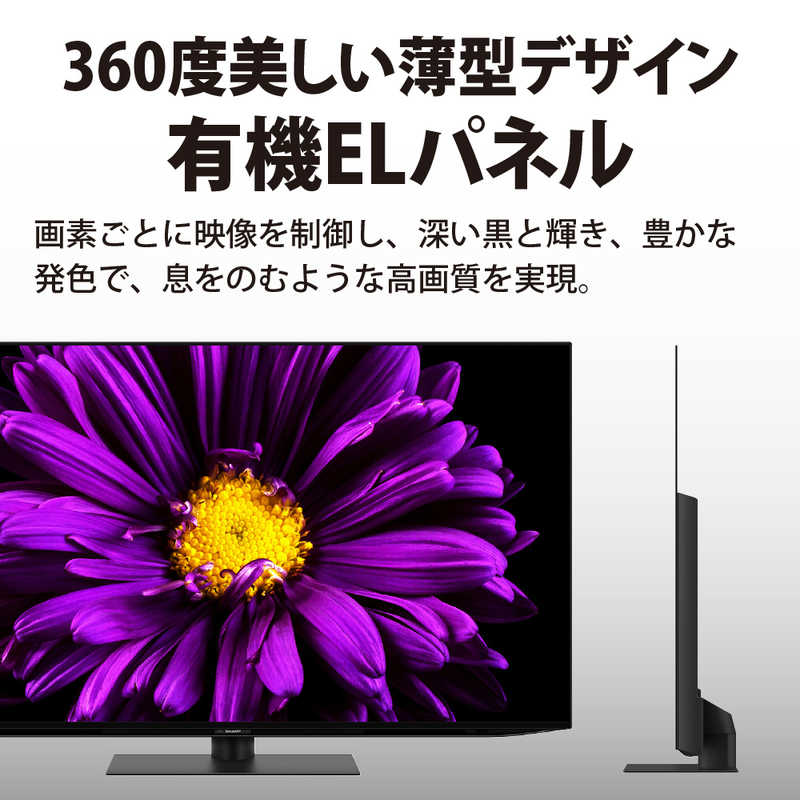 シャープ　SHARP シャープ　SHARP 有機ELテレビ AQUOS アクオス 55V型 4K対応 BS・CS 4Kチューナー内蔵 YouTube対応 4T-C55DQ1　 4T-C55DQ1　