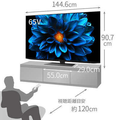 AQUOS 4T-C65DN1 ブルーレイレコーダー スピーカー テレビ台セット AQUOS 4T-C65DN1 ブルーレイレコーダー スピーカー テレビ台セット