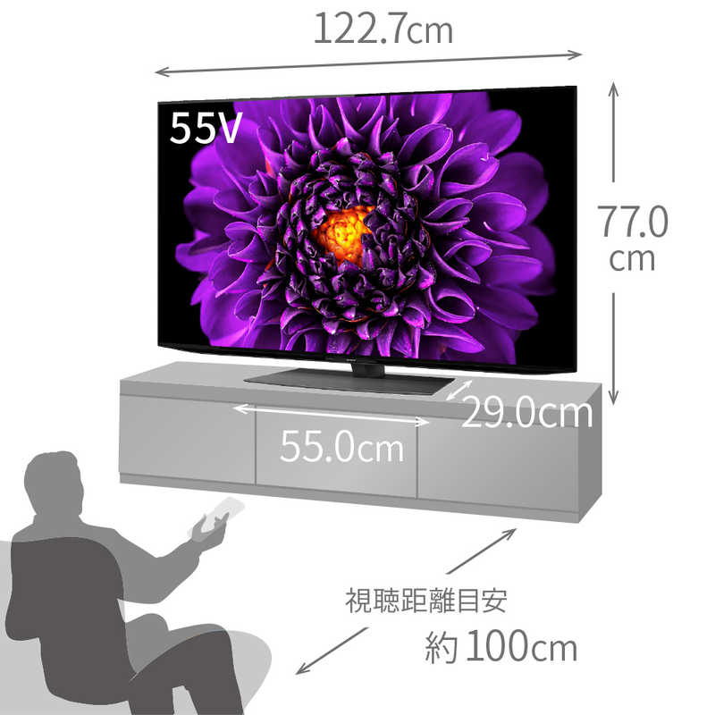 シャープ　SHARP シャープ　SHARP 有機ELテレビ AQUOS アクオス 55V型 4K対応 BS・CS 4Kチューナー内蔵 YouTube対応 4T-C55DS1　 4T-C55DS1　