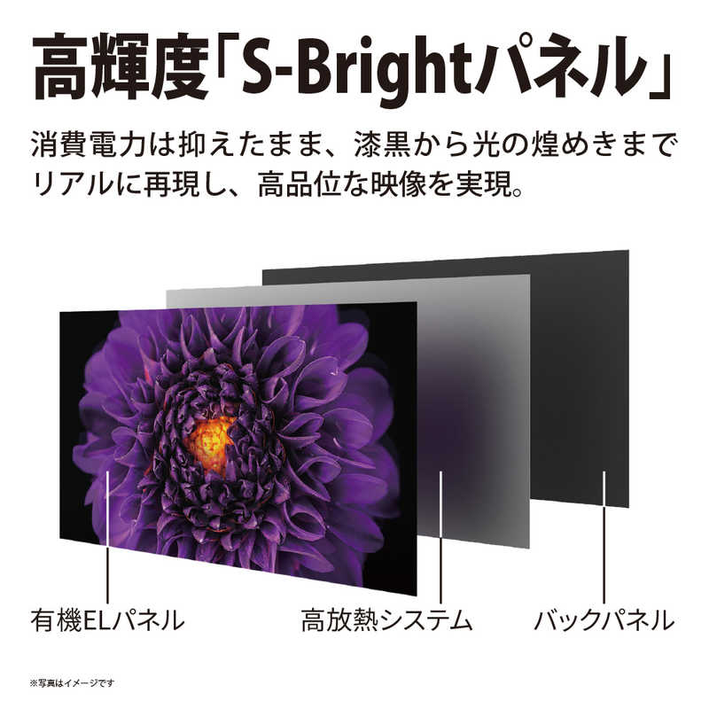 シャープ　SHARP シャープ　SHARP AQUOS (アクオス) 有機ELテレビ 55V型 4Kチューナー内蔵 4T-C55DS1　 4T-C55DS1　