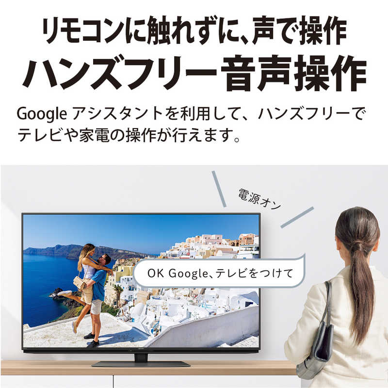 シャープ　SHARP シャープ　SHARP AQUOS (アクオス) 有機ELテレビ 55V型 4Kチューナー内蔵 4T-C55DS1　 4T-C55DS1　