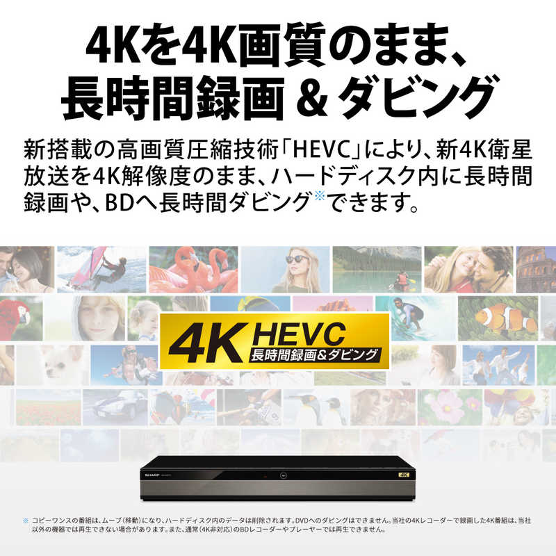 シャープ　SHARP シャープ　SHARP ブルーレイレコーダー AQUOS(アクオス) 4TB 3番組同時録画 (4K放送2番組同時録画) 4Kチューナー内蔵 4B-C40DT3 4B-C40DT3