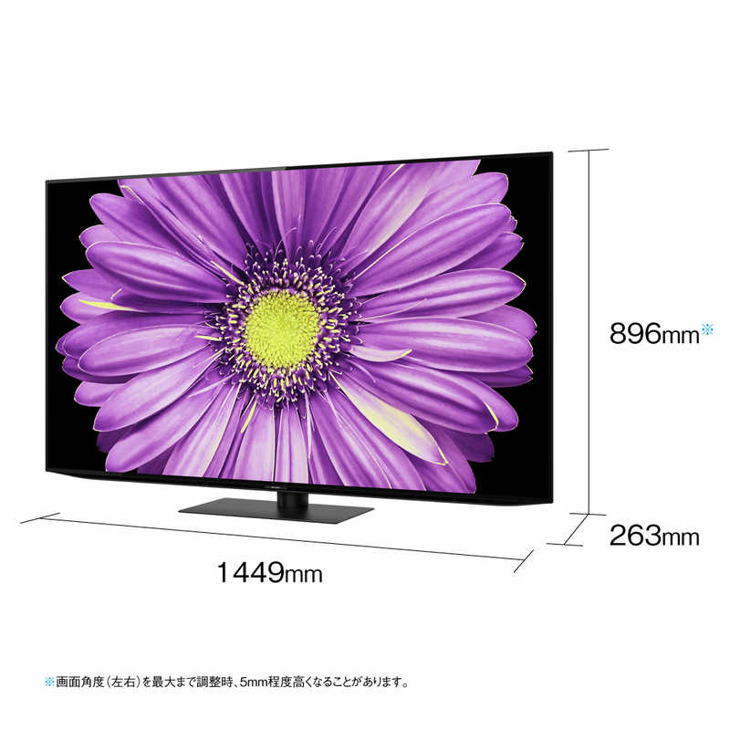 シャープ　SHARP シャープ　SHARP 有機ELテレビ AQUOS アクオス 65V型 4K対応 BS・CS 4Kチューナー内蔵 YouTube対応 4T-C65DQ2 4T-C65DQ2