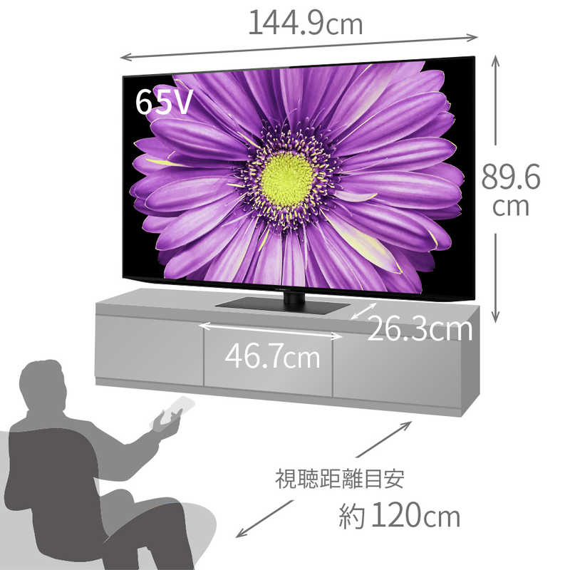 シャープ　SHARP シャープ　SHARP 有機ELテレビ AQUOS アクオス 65V型 4K対応 BS・CS 4Kチューナー内蔵 YouTube対応 4T-C65DQ2 4T-C65DQ2