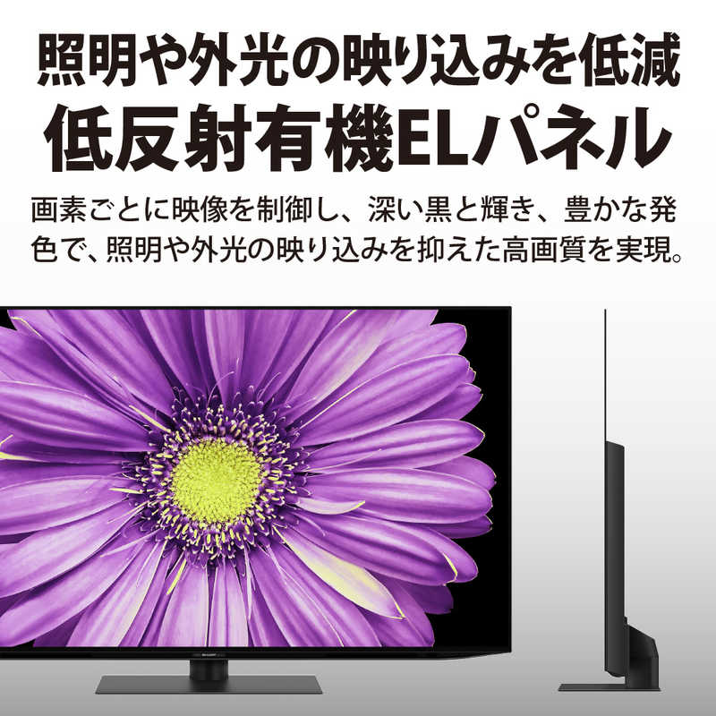 シャープ　SHARP シャープ　SHARP 有機ELテレビ AQUOS アクオス 65V型 4K対応 BS・CS 4Kチューナー内蔵 YouTube対応 4T-C65DQ2 4T-C65DQ2