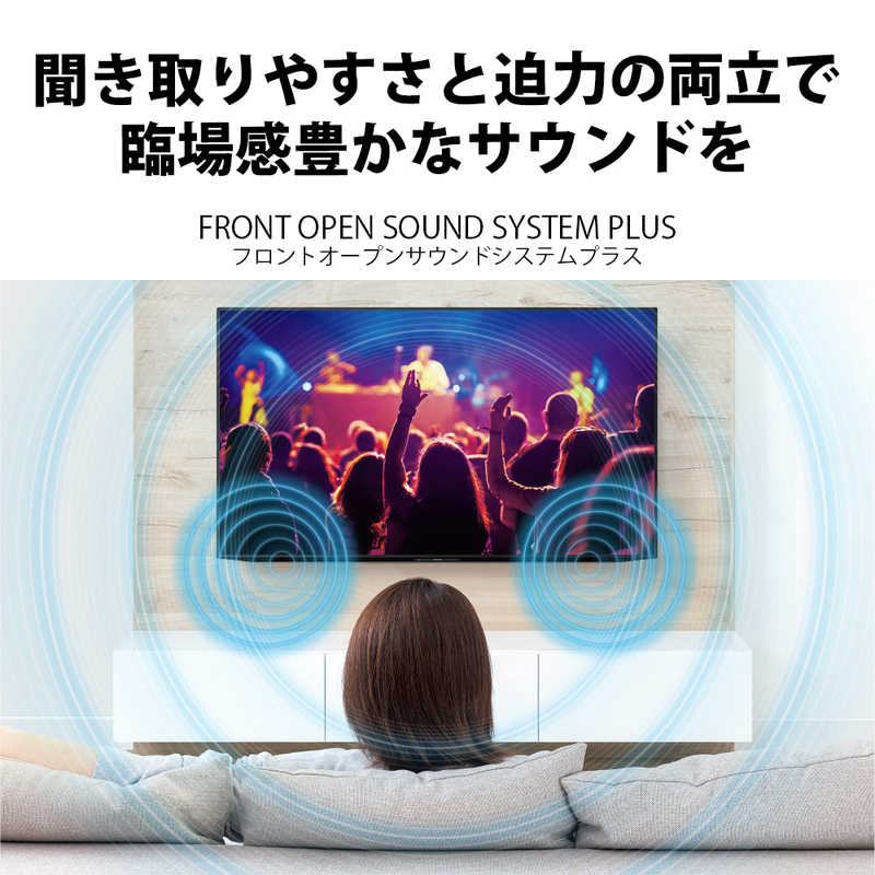 シャープ　SHARP シャープ　SHARP 有機ELテレビ AQUOS アクオス 65V型 4K対応 BS・CS 4Kチューナー内蔵 YouTube対応 4T-C65DQ2 4T-C65DQ2