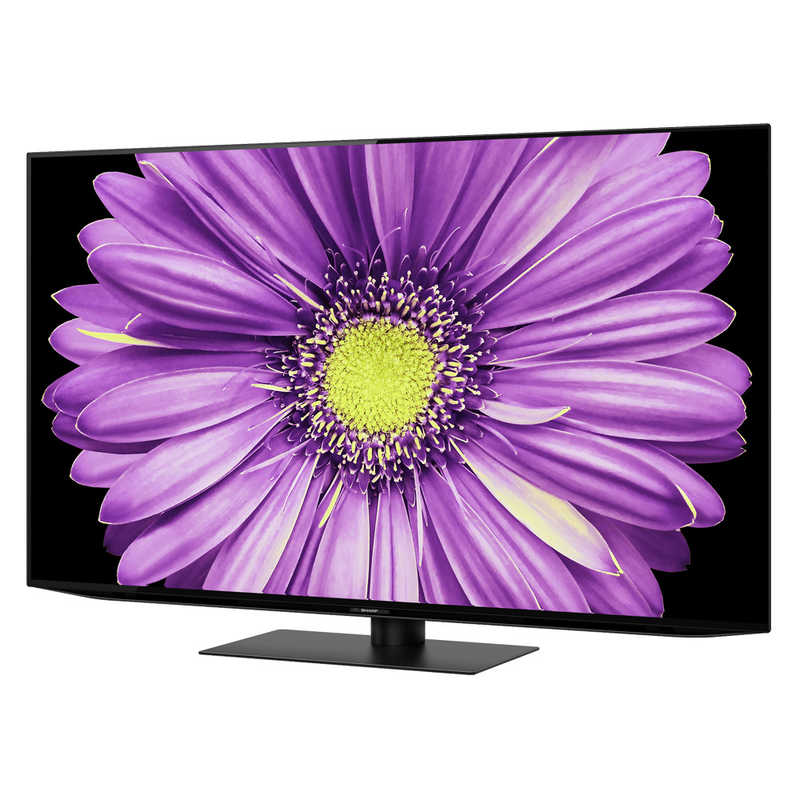 シャープ　SHARP シャープ　SHARP 有機ELテレビ AQUOS アクオス 55V型 4K対応 BS・CS 4Kチューナー内蔵 YouTube対応 4T-C55DQ2 4T-C55DQ2