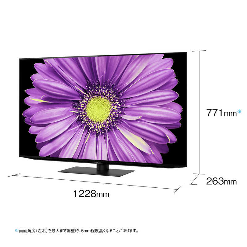 シャープ　SHARP シャープ　SHARP 有機ELテレビ AQUOS アクオス 55V型 4K対応 BS・CS 4Kチューナー内蔵 YouTube対応 4T-C55DQ2 4T-C55DQ2