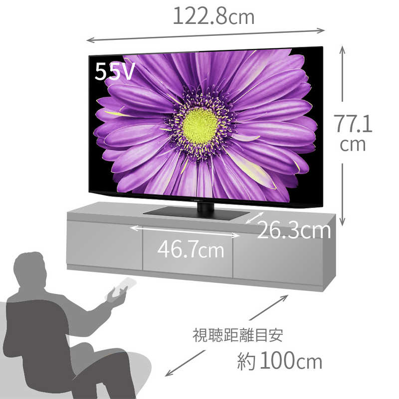 シャープ　SHARP シャープ　SHARP 有機ELテレビ AQUOS アクオス 55V型 4K対応 BS・CS 4Kチューナー内蔵 YouTube対応 4T-C55DQ2 4T-C55DQ2