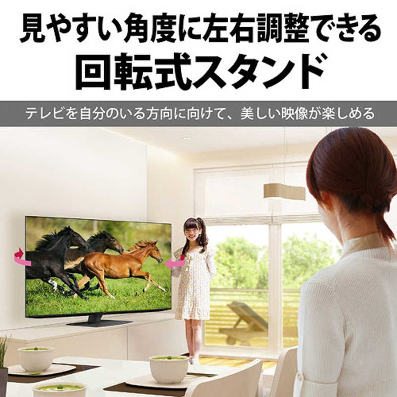 シャープ　SHARP シャープ　SHARP 有機ELテレビ AQUOS アクオス 48V型 4K対応 BS・CS 4Kチューナー内蔵 YouTube対応 4T-C48EQ2 4T-C48EQ2