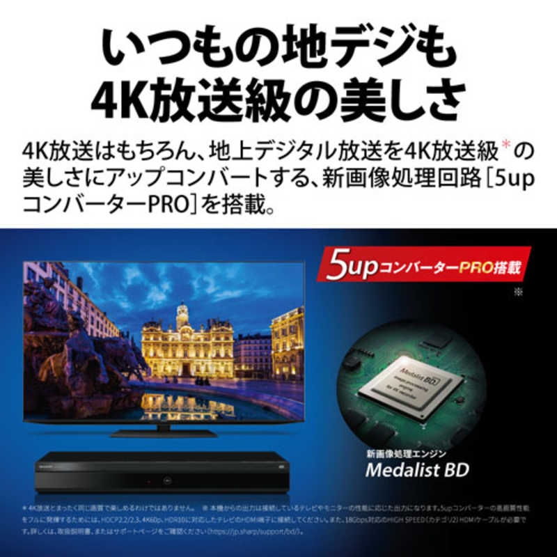 シャープ　SHARP シャープ　SHARP ブルーレイレコーダー AQUOSブルーレイ ［6TB 3番組同時録画 BS・CS 4Kチューナー内蔵］ 4B-C60ET3 4B-C60ET3