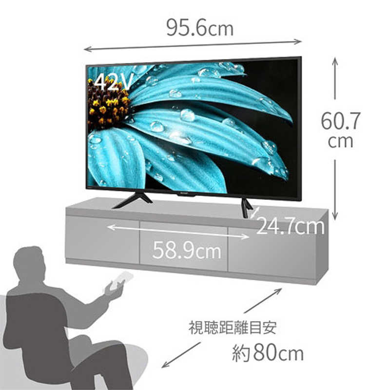 シャープ　SHARP シャープ　SHARP AQUOS(アクオス) 液晶テレビ 42V型 4Kチューナー内蔵 4T-C42EJ1 4T-C42EJ1