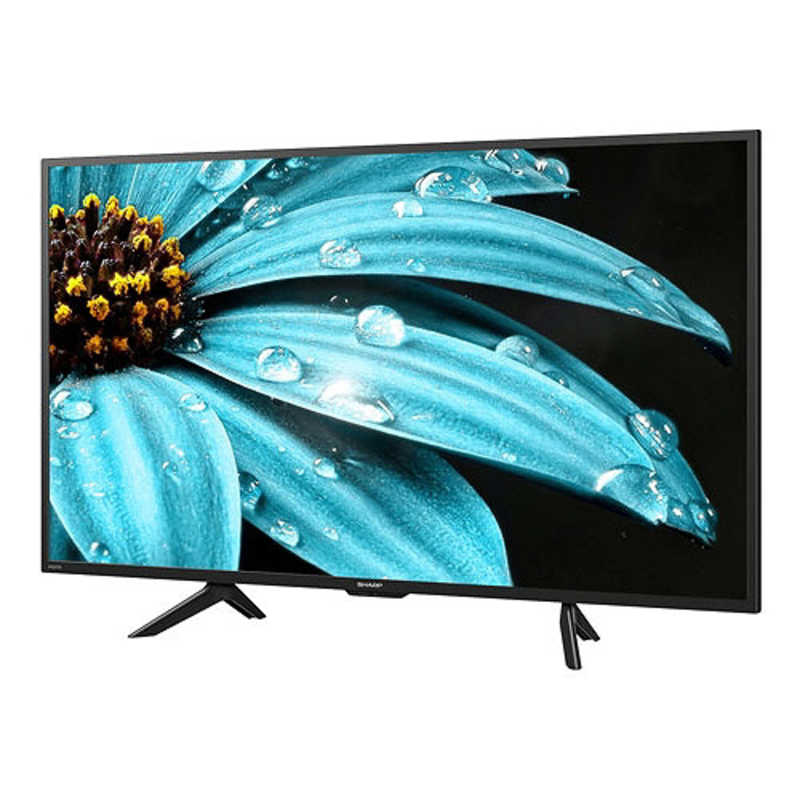 シャープ　SHARP シャープ　SHARP AQUOS(アクオス) 液晶テレビ 42V型 4Kチューナー内蔵 4T-C42EJ1 4T-C42EJ1