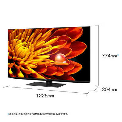 シャープ SHARP Mini LED 液晶テレビ AQUOS アクオス [ 55V型