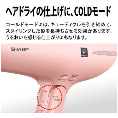 シャープ SHARP プラズマクラスタードライヤー beaut´e A（ボーテアー 