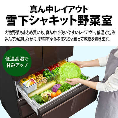 シャープ SHARP 冷蔵庫 プラズマクラスター冷蔵庫 6ドア