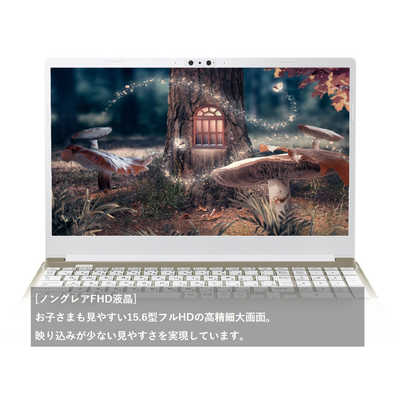 dynabook ダイナブック 【アウトレット】ノートパソコン dynabook C6 