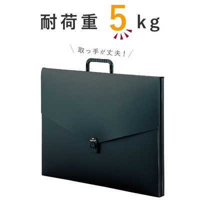 値下げ交渉可能　新品サイン本2冊セット アルプス カメオ NTT 【中古】【据置用品有】ZXH-ME-(2) αZX Home 主装置