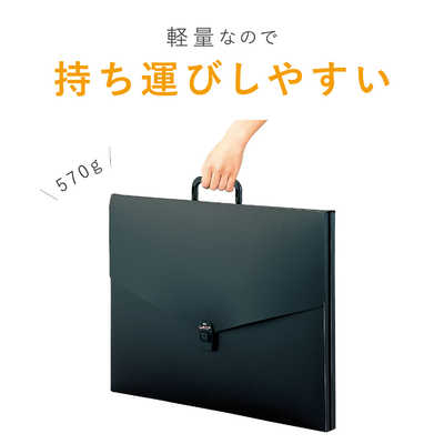 木製シタール 7弦 ケース付き　ジャンク品 シタールセット（ハードケース） の通販[送料無料] - TIRAKITA.COM
