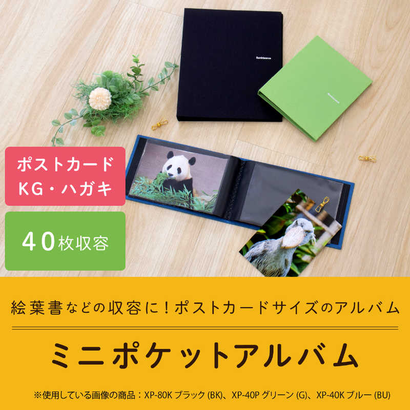 セキセイ セキセイ レミニッセンス ポケットアルバム ブラック (KG･ハガキ･ポストカードサイズ 40枚) XP‐40P‐BK XP‐40P‐BK