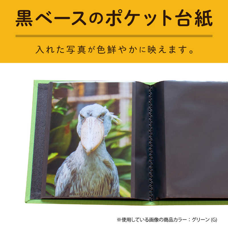 セキセイ セキセイ レミニッセンス ポケットアルバム ブラック (KG･ハガキ･ポストカードサイズ 40枚) XP‐40P‐BK XP‐40P‐BK