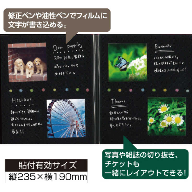 セキセイ セキセイ ミニフリーアルバム用スペア台紙(黒) XP-10F XP-10F