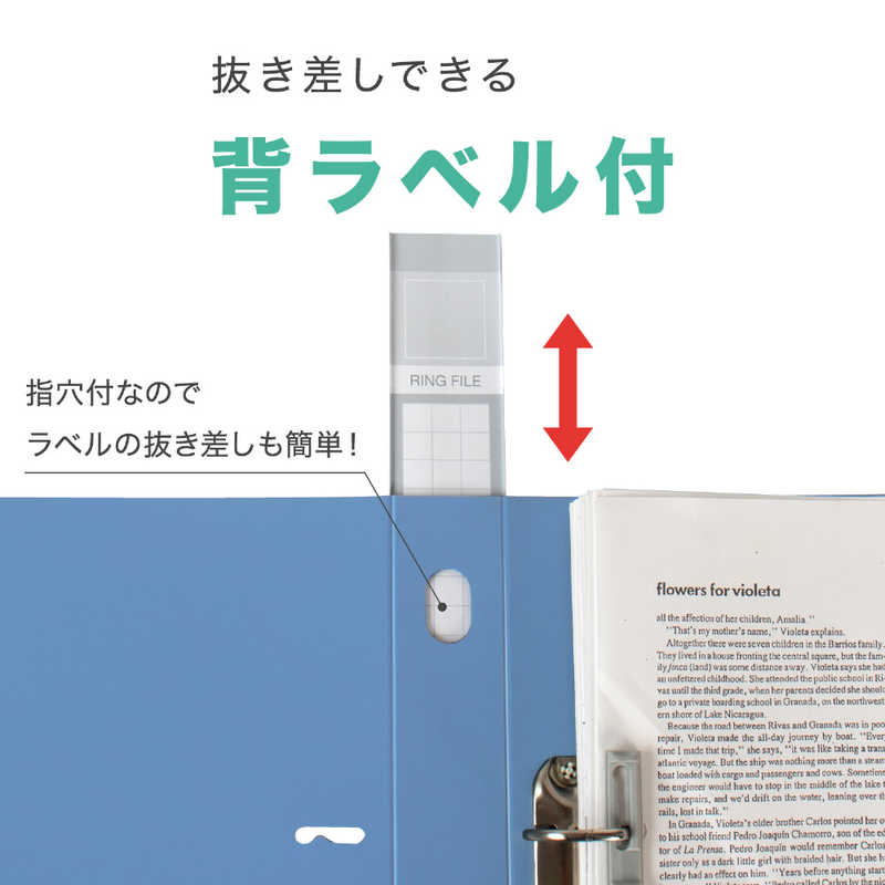 ギフト (業務用5セット) セキセイ ロックリングファイルF-532 A4S 43mm青10冊 | torringtonparkinsonssupportgroup.com