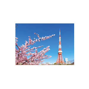 セキセイ パックンカバーノート高透明A5東京タワー PKN-732