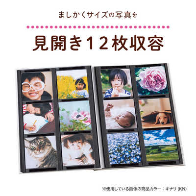 Amazon | 24hピクトハウス ふたつやねのおうち セガト イズ レア