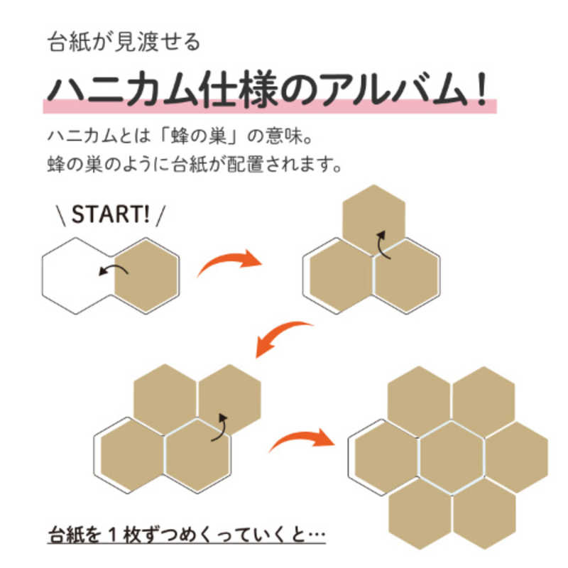 セキセイ セキセイ ハーパーハウス スクラップアルバム Honeycomb(ハニカム) ストライプ XP-6502 XP-6502