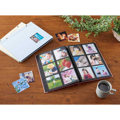 睡蓮　アルバム4枚セット はじめての睡蓮セット(睡蓮黄+メダカ睡蓮鉢ベージュ+ヒメダカ+