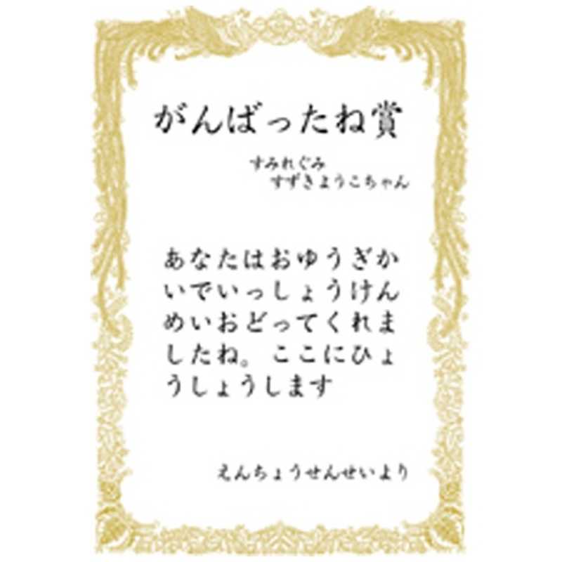 ササガワ ササガワ ミニOA賞状用紙 横書用(A5サイズ･10枚) 10‐551 (ホワイト) 10‐551 (ホワイト)