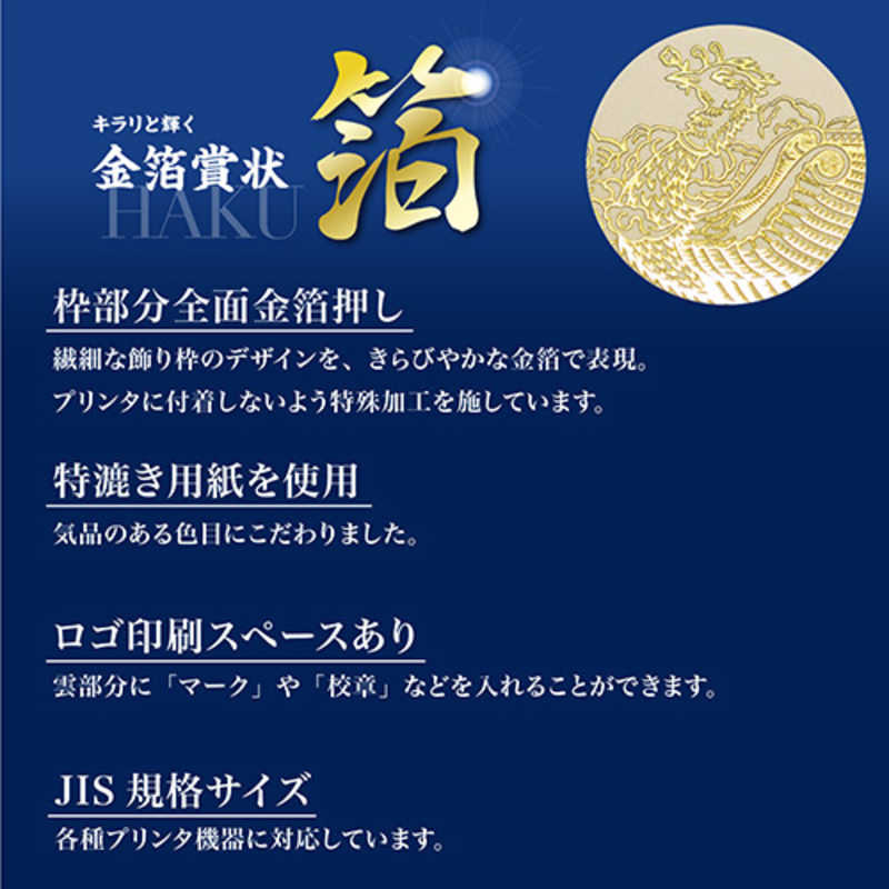 人気カラーの 生活用品 家電 ササガワ 金箔賞状用紙 白 10 3081 規格 ａ３判 1冊 Barbaria Com Ar