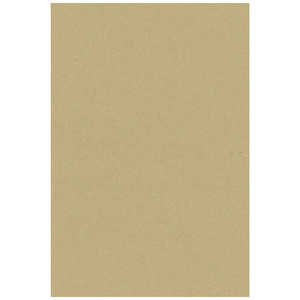 ササガワ リエイティブカード はがきサイズ クラフト 100 163151