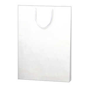 サンナップ 不織布バッグ FBB-Y45BR ブラウン 10枚 終売サンナップ 不織布バッグ FBB-Y45BR ブラウン 10枚