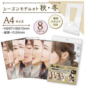 TTK nhChANZT[Be쐬Lbg(sAX)V[YftHg(H~) 37-5004