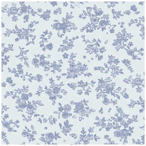 TTK  u[t[ ˔ 4901500 491500