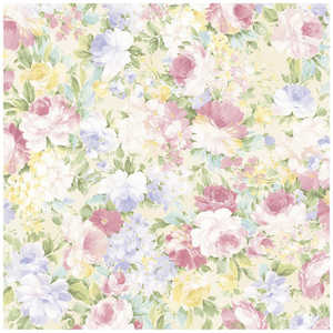 TTK  y ˔ 4901507 491507