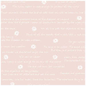 TTK  t[^[P ˔ 4901524 491524