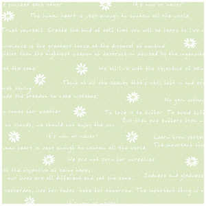 TTK  t[^[G ˔ 4901526 491526