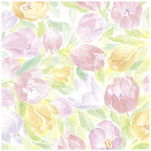 TTK  [Y ˔ 4901527 491527