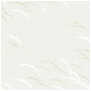 ササガワ 包装紙 偲び草 半才判 4901809 491809