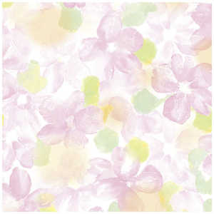 TTK  A[ S 4902502 492502