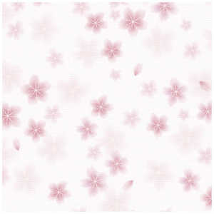 TTK  a S 4902510 492510