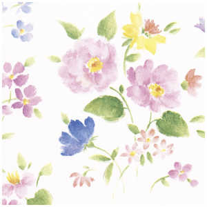 TTK  ԂÂ S 4902521 492521