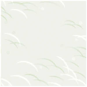 TTK  Âё S 4902809 492809