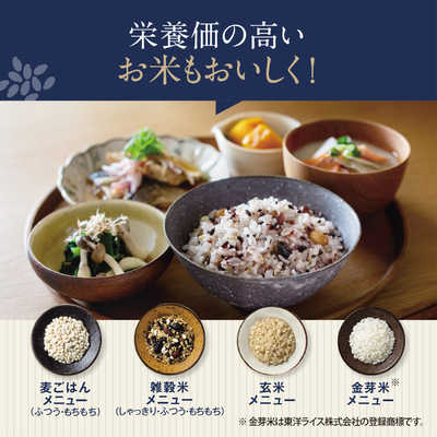 【新品未使用】象印 炊飯器 NW-FC10-BZ 濃墨　5.5合 炎舞炊き 象印 炊飯器 5.5合炊き 圧力IH炊飯器 圧力IHタイプ NW