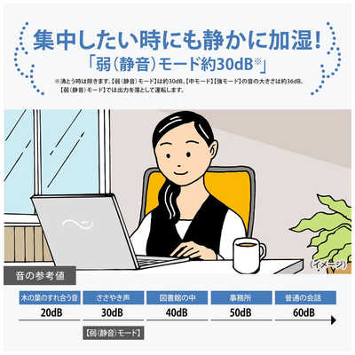 象印マホービン ZOJIRUSHI スチーム式加湿器 タンク容量：4.0L 木造
