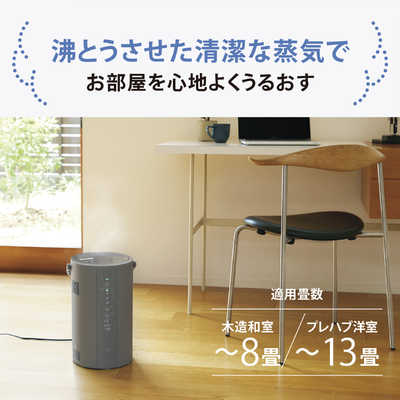 ☆象印　スチーム式加湿器　EE-RR50　木造8畳鉄筋13畳　2022年製 象印マホービン ZOJIRUSHI 加湿器 スチーム式 木造8畳 鉄筋13畳 グレー